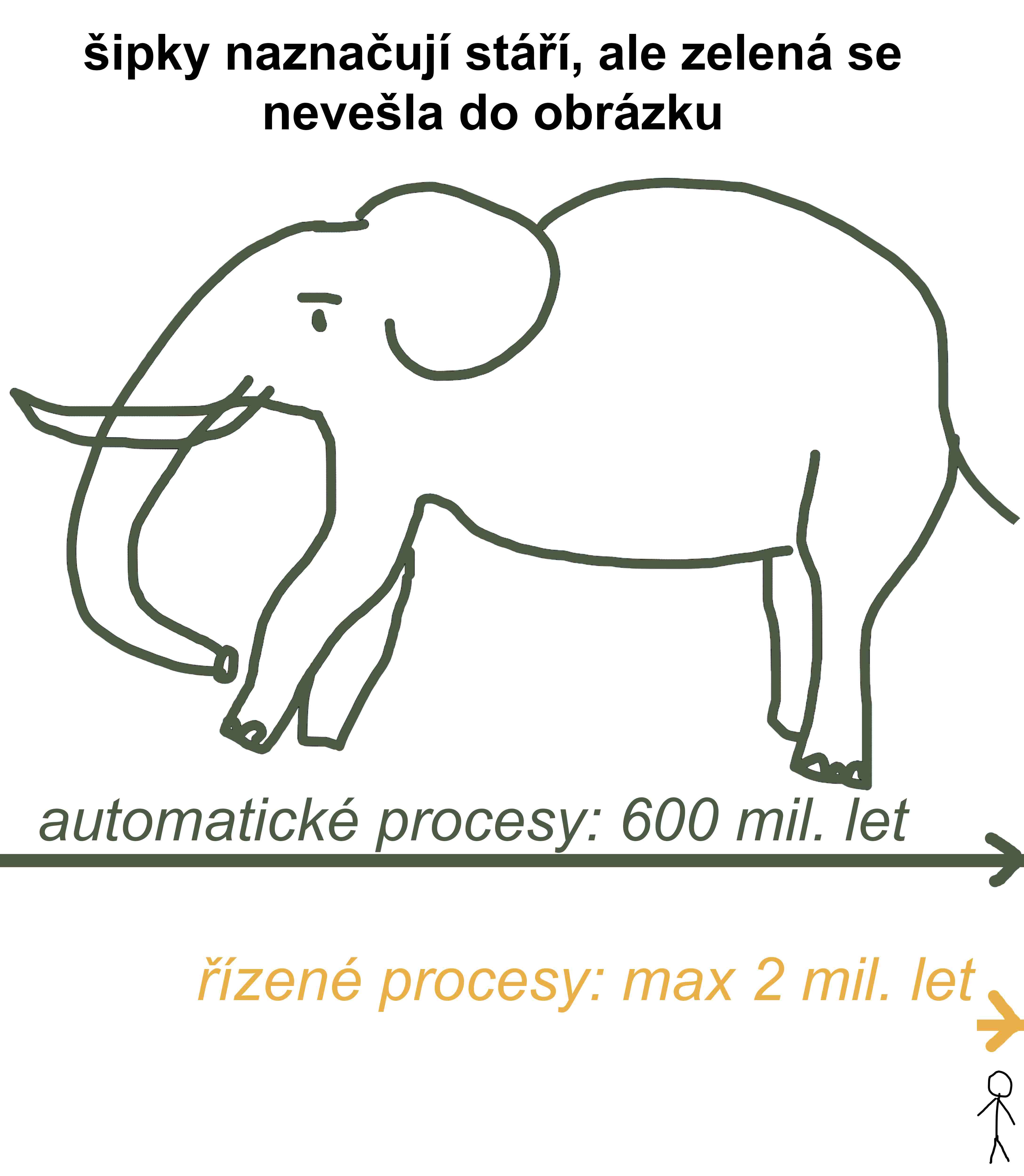 Slon s délkou života okolo 600 mil. let a jezdec asi 2 mil. let